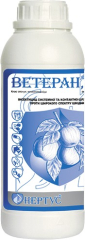 Ветеран