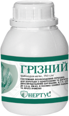 Грізний