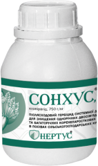 Сонхус