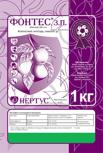 Фонтес - фото