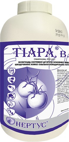 Тіара - фото