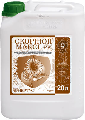 Скорпіон Максі - фото