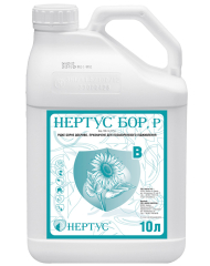 Нертус Бор