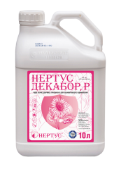 Нертус Декабор