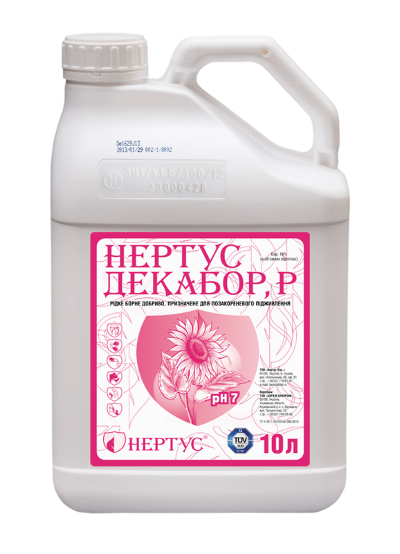 Нертус Декабор - фото
