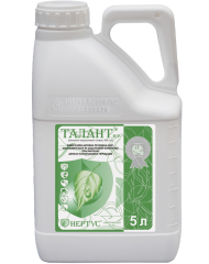 Талант