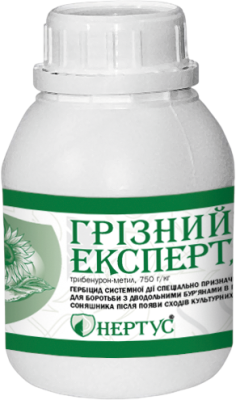 Грізний Експерт - фото